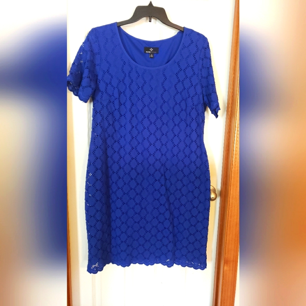Gorgeous Ronni Nicole Dress